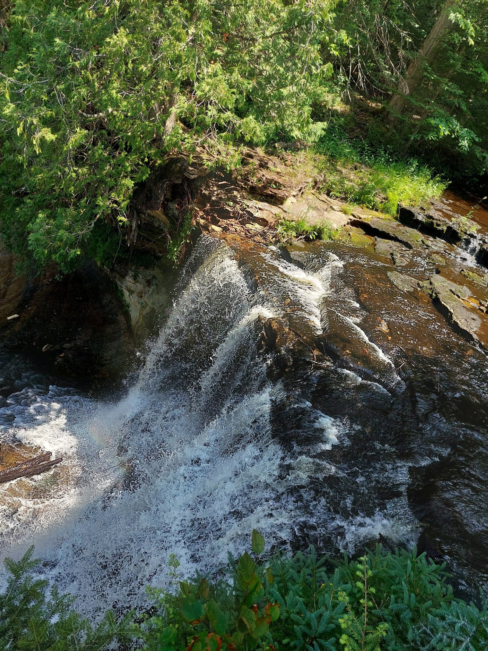 Modeltown Firearms out for a day hike to Laughing Whitefish Falls